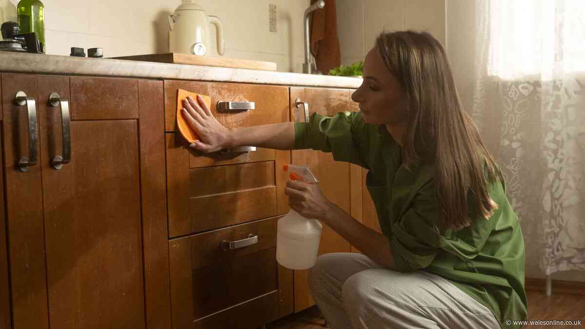 'I cleaned my greasy kitchen cabinets with 89p item — it took 2 minutes'