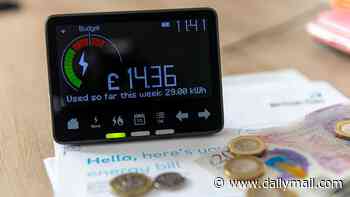 How much will cutting VAT on electricity bills save me - and could I save more by fixing?