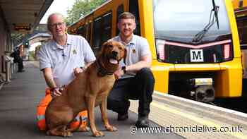 Northumberland man reunites with staff who rescued his dog from Metro tracks