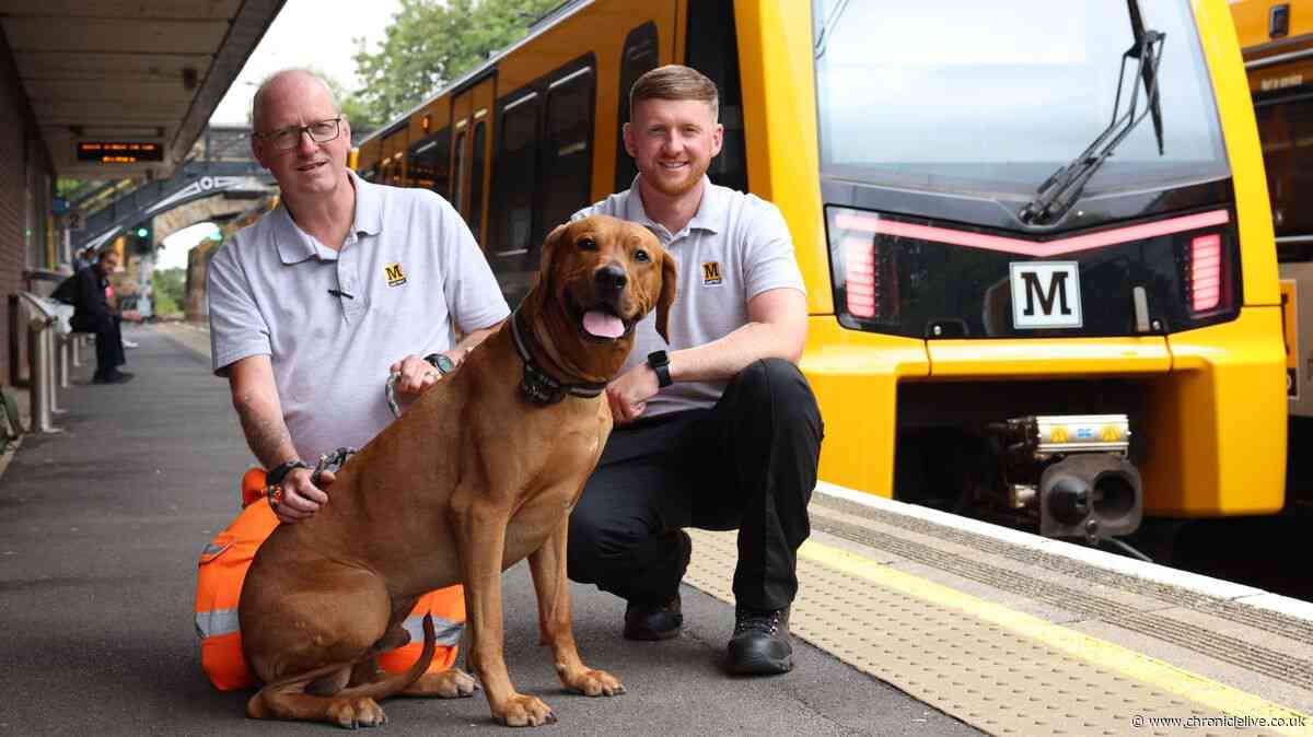 Northumberland man reunites with staff who rescued his dog from Metro tracks
