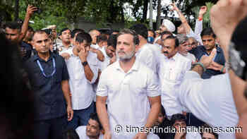 AAP's 'jugalbandi' swipe as Rahul Gandhi protests near PM's residence; Congress responds