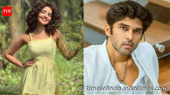 Anupama-Dhruv rumours: Here's what reports claim