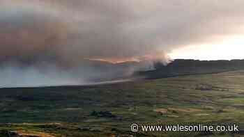 Farmers make desperate appeal for help as wildfires threaten homes and habitats