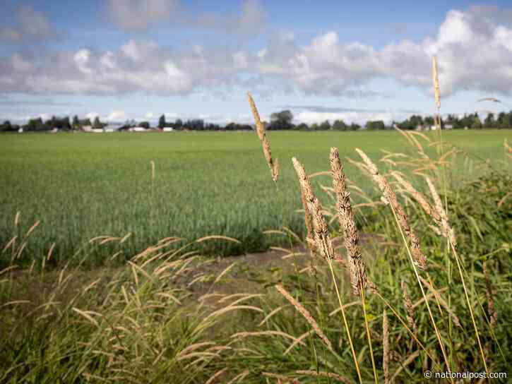 B.C. Conservatives criticize Alberta-Ottawa pipeline plan through 'vital' B.C. farmland