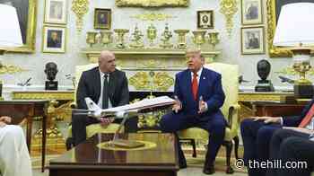 Trump says US will ‘take care’ of Houthis if Red Sea strait blocked