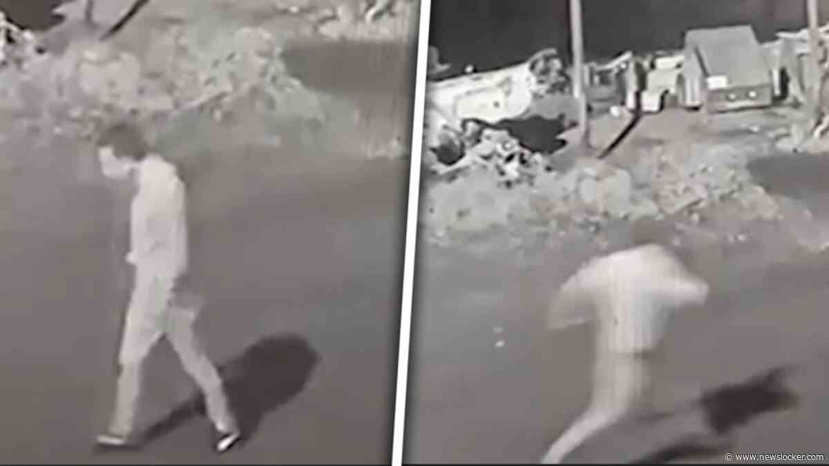 Bijzonder tafereel in Turkse stad gefilmd: man achtervolgd door moederbeer