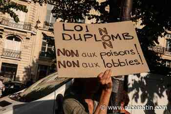 Acétamipride et flupyradifurone : comment deux pesticides interdits vont être réintroduits en France