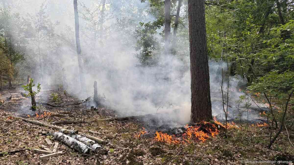 Unterholz brennt in Wald im Kreis Gifhorn – Feuerwehr verhindert Ausbreitung