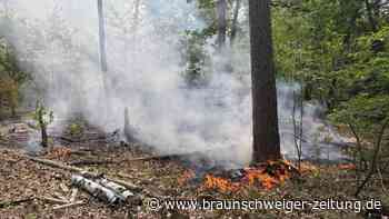 Unterholz brennt in Wald im Kreis Gifhorn – Feuerwehr verhindert Ausbreitung