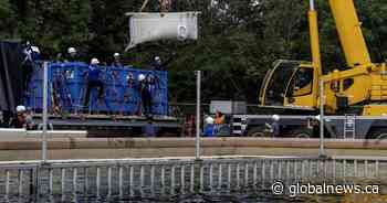 Six Marineland belugas now swimming in new U.S. homes