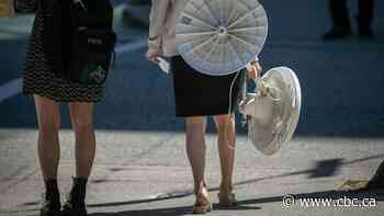Heat warnings in effect for much of southern B.C.