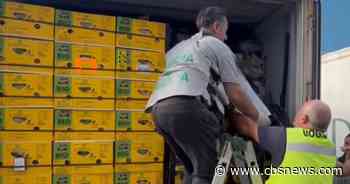 Cocaine worth $285 million found hidden in banana shipment
