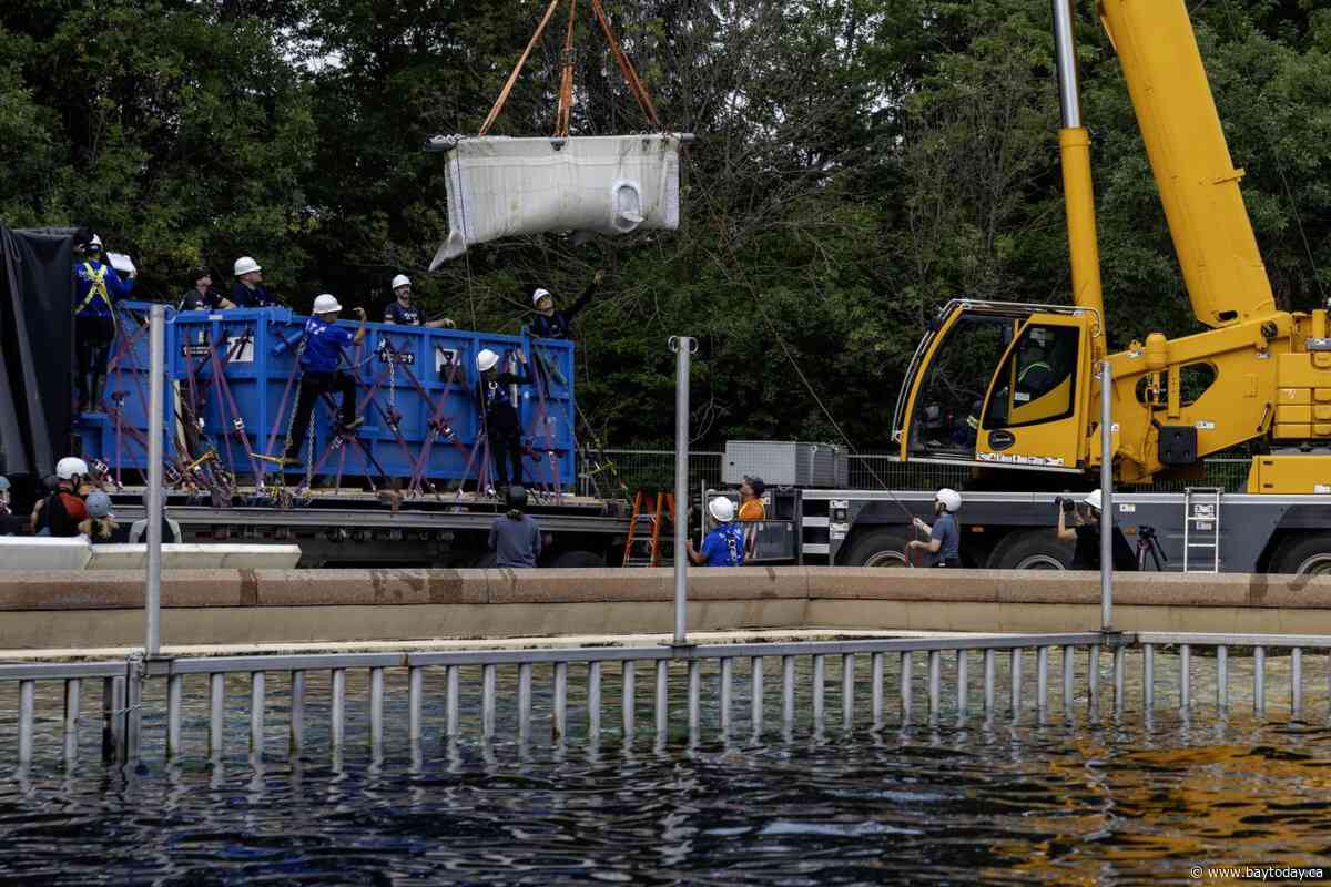 Six Marineland belugas now swimming in new U.S. homes