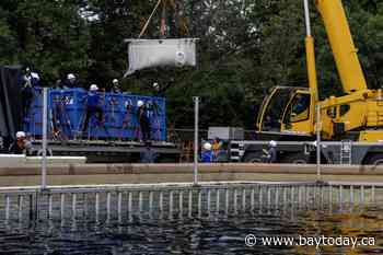 Six Marineland belugas now swimming in new U.S. homes