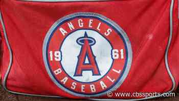 Angels fire scout known as 'The Baseball Spy' for allegedly spying on Rockies, per report