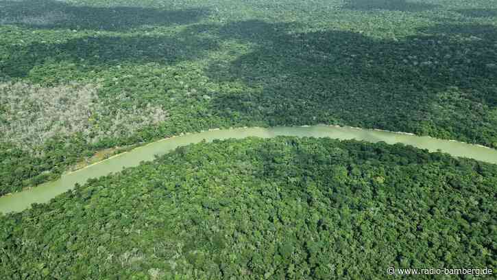 Amazonas: So wenig Waldbrände wie seit 40 Jahren nicht