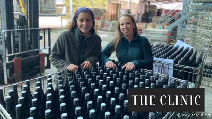 Cómo dos amigas apostaron por un pequeño viñedo del Maule y terminaron creando una marca que ya exporta a cinco países