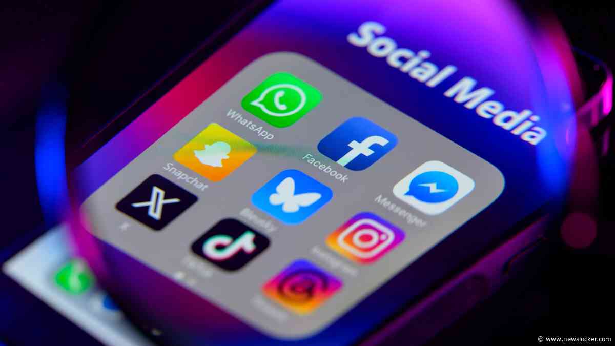 Frans parlement verbiedt sociale media voor kinderen onder de 15