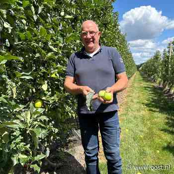 Appeloogst valt tegen, maar niet voor fruitteler uit Rossum: 'Schade valt mee'