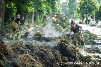 Grote hoeveelheid gemaaid gras in brand