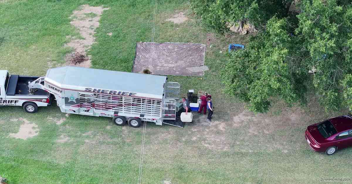 Chatham County woman charged after dozens of animals allegedly abandoned