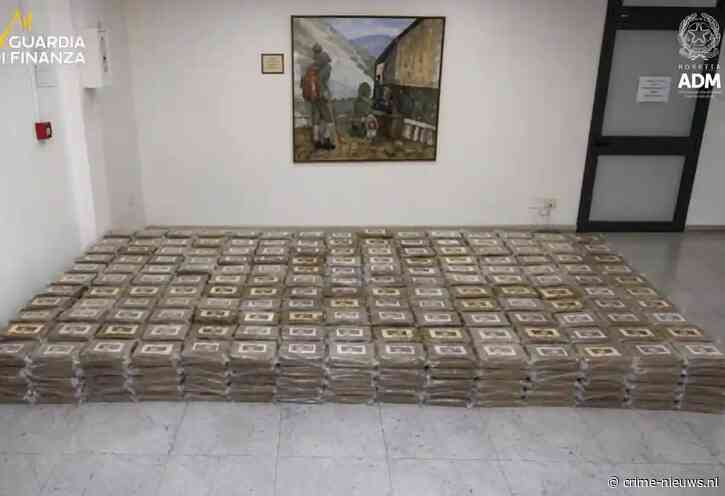 770 kilo cocaïne ontdekt tussen lading bananen in gekoelde container uit Ecuador