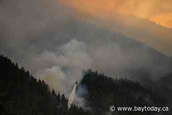 Here are the latest numbers on British Columbia's wildfire season