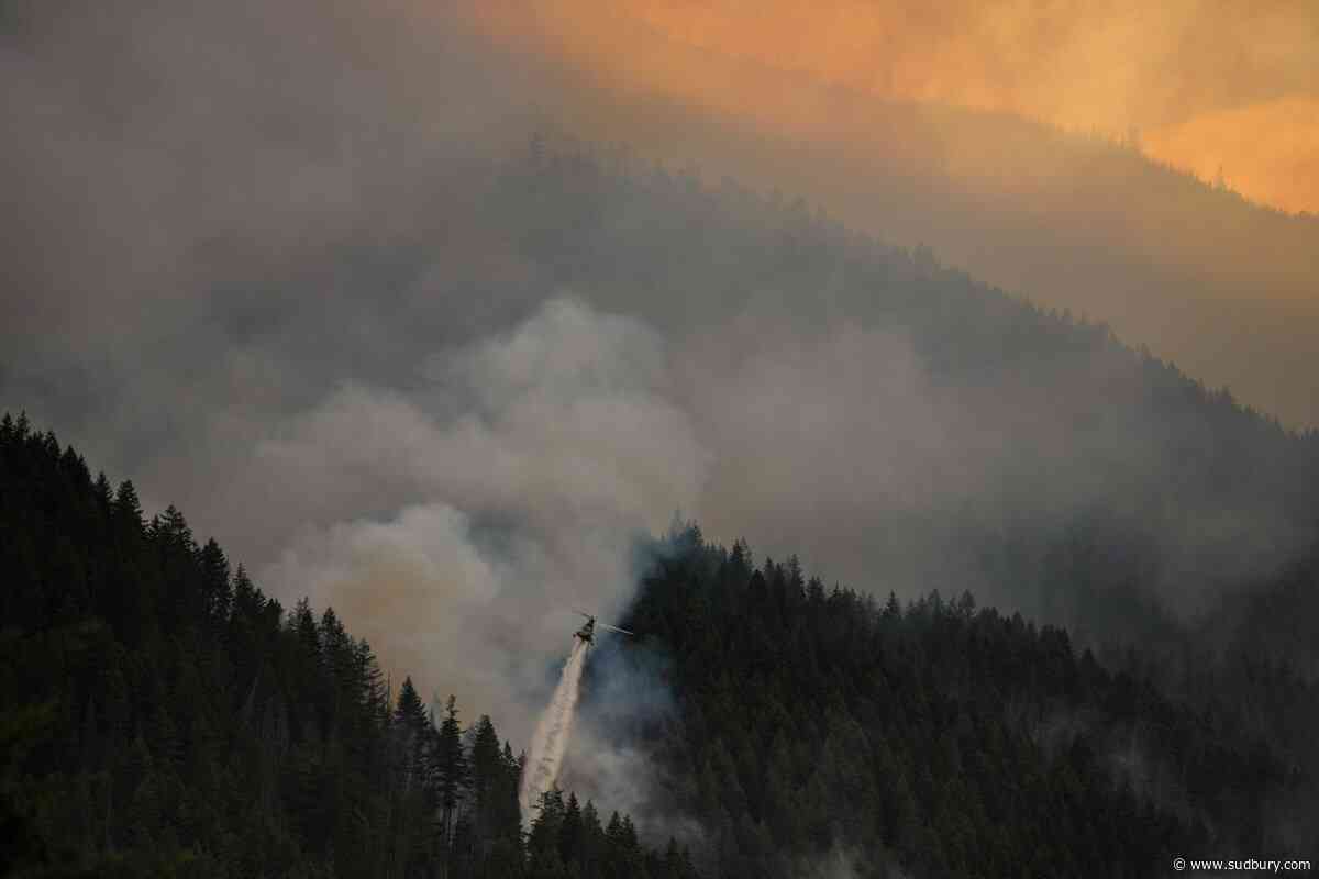Here are the latest numbers on British Columbia's wildfire season