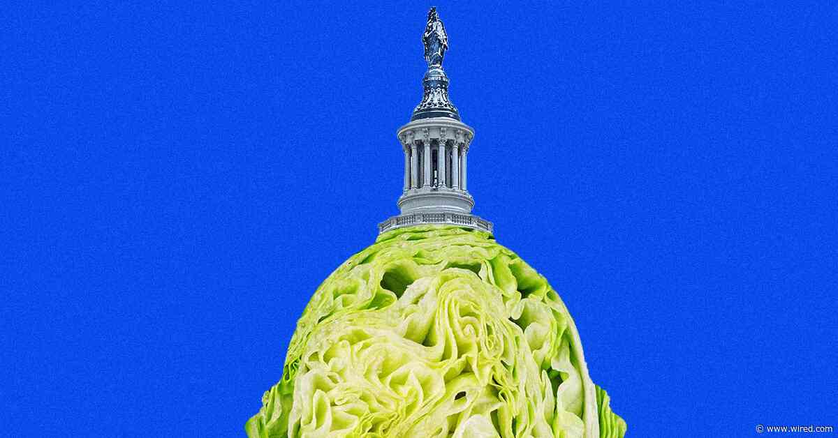 Taylor Farms Spent Big on MAGA and Anti-Regulatory Lobbying Before Diarrhea Outbreak