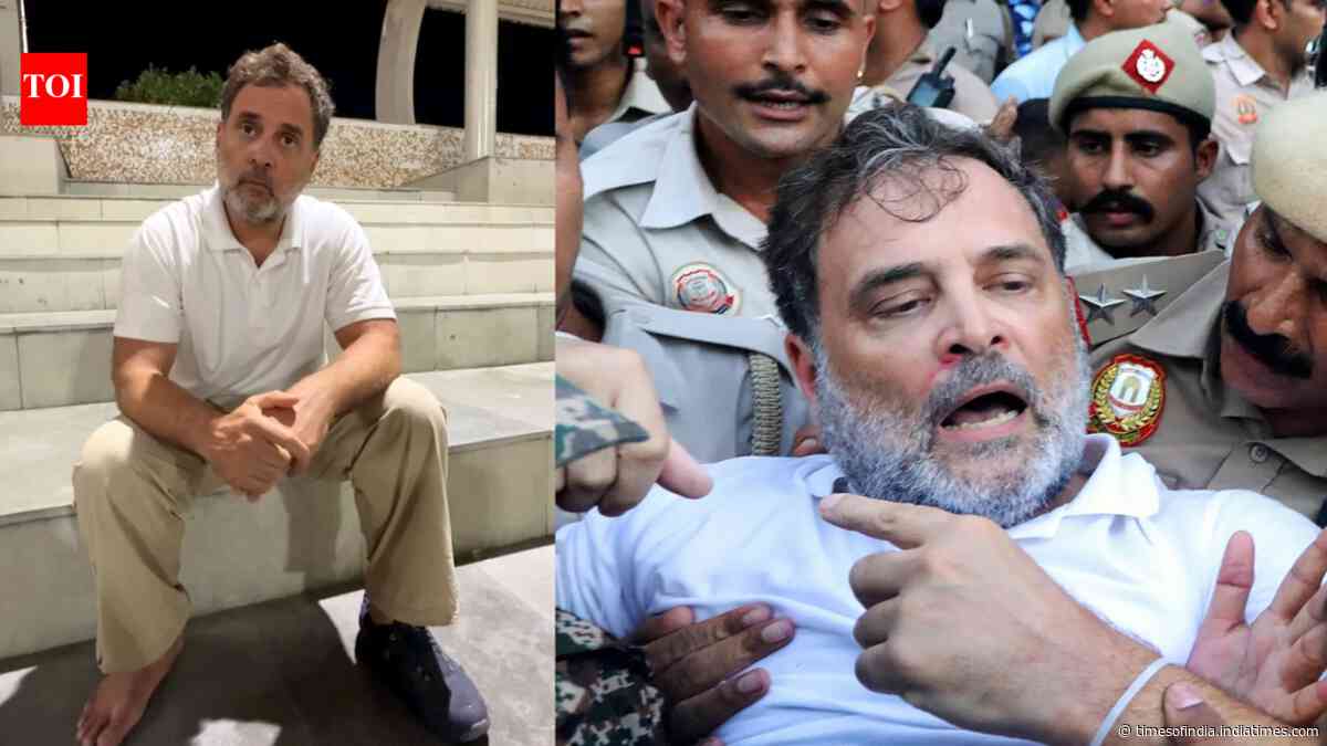 'Government had no interest in debate': Rahul Gandhi on why Congress protested outside PM's residence