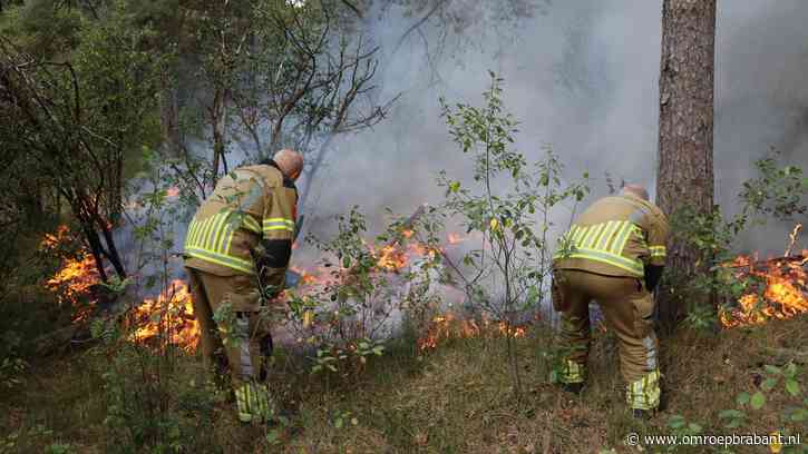 Brand in natuurgebied Loonse en Drunense Duinen geblust