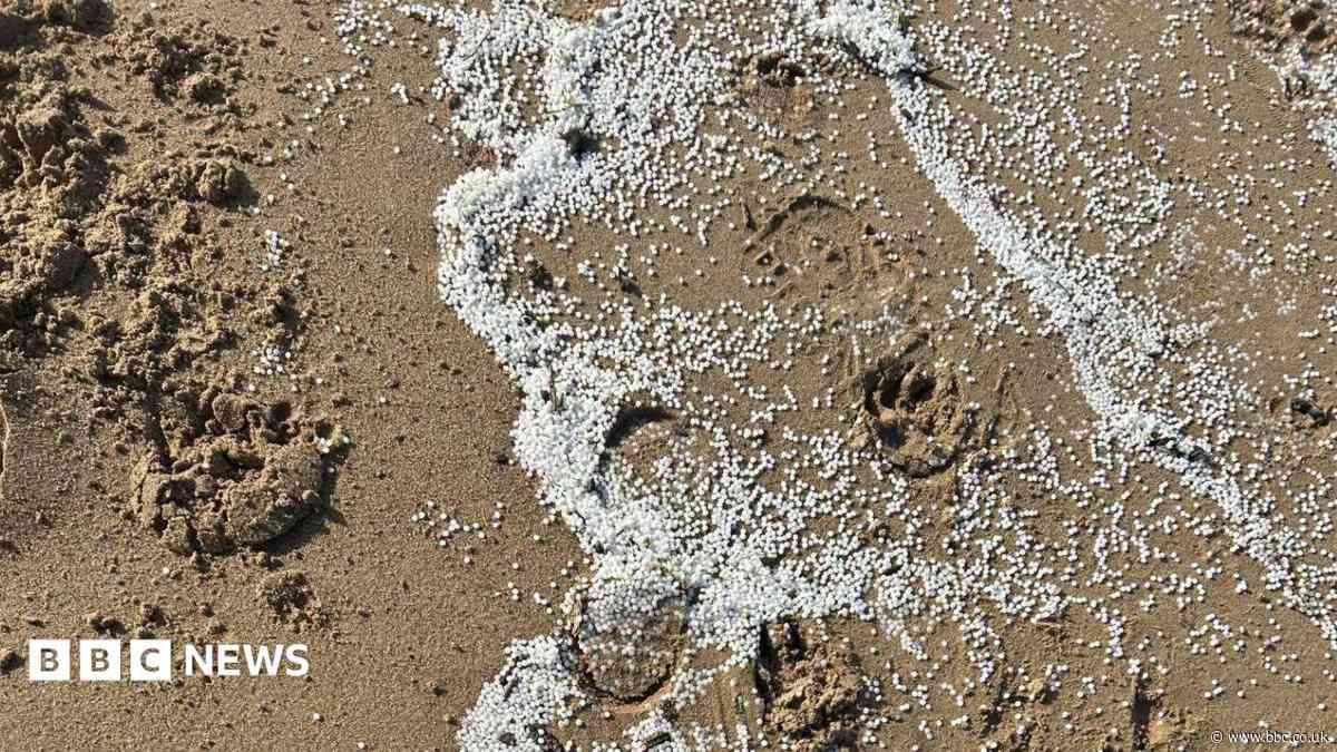 Pellets wash up on beach after crane collapse