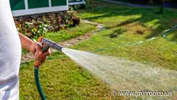 Hosepipe bans extended - what is excluded, from new lawns to blue badge holders