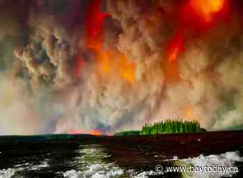 Debate over forest management rages amid wildfire surge
