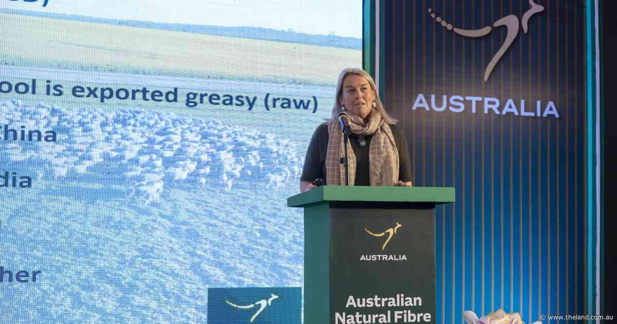 Beyond China: why new markets are key to future-proofing Australian wool