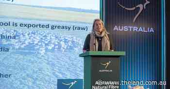 Beyond China: why new markets are key to future-proofing Australian wool