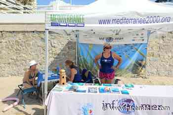 Cette association sensibilise à la protection de l’environnement et des fonds marins depuis 25 ans... et elle présente ses actions à Cannes