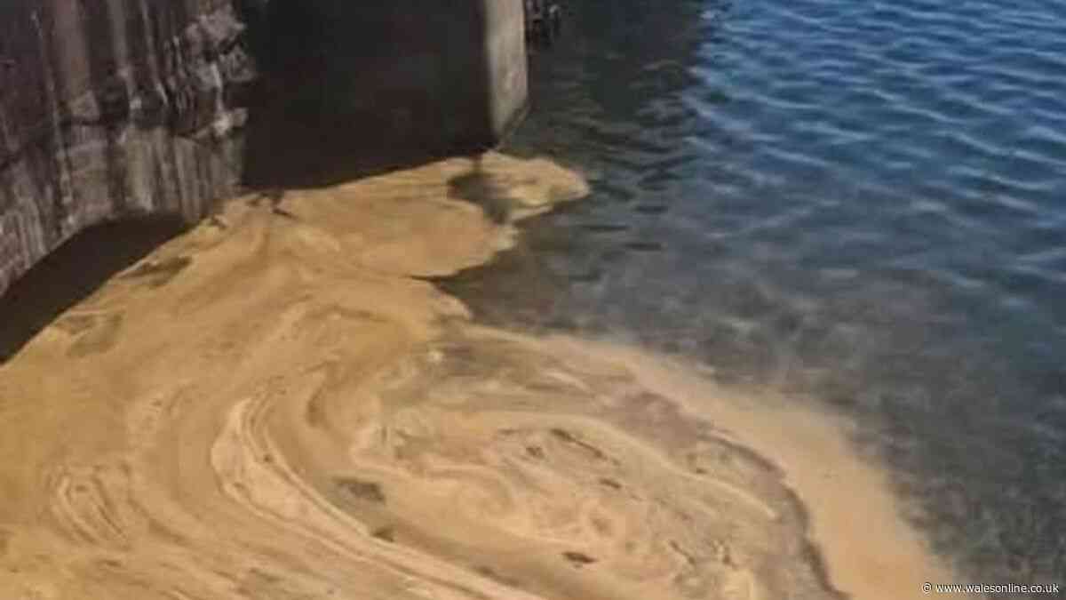 People in Barry raise concerns after brown foam appears at waterfront