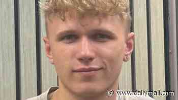 Trainee plumber, 20, killed in crash saves seven lives by donating his organs - 16 years after becoming a bone marrow donor for his brother with leukaemia