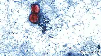 Cyclosporiasis vs. other food poisoning: How to spot the difference