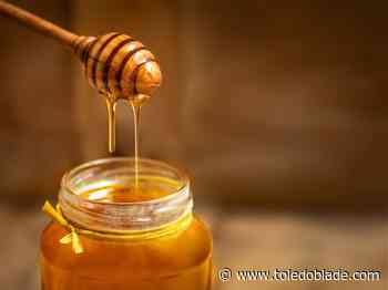 Discover why bees matter and harvest honey at seminar