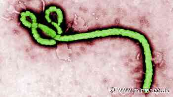 Feared Ebola case at London hospital as patient in isolation after DR Congo trip