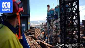 Falling 200kg drive gear injures steel worker months after workplace death