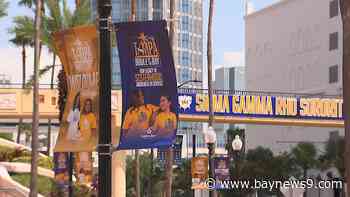 Tampa Bay tourism experts bringing in record number of D9 organizations