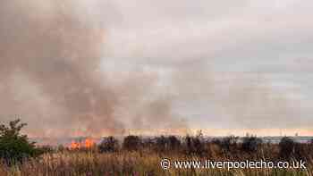 Huge smoke plume seen across Merseyside as firefighters tackle fire in Garston