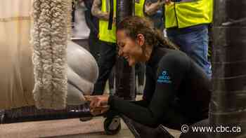 Marineland belugas from Ontario greeted by emotional U.S. aquarium staff after 'unprecedented rescue'