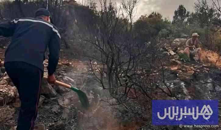 "غابة أنفك" تقترب من إخماد النيران