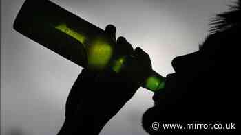 Weight loss meds could be used to stop alcoholics boozing, study suggests