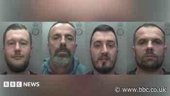 Gang sentenced over bulk supply of cannabis