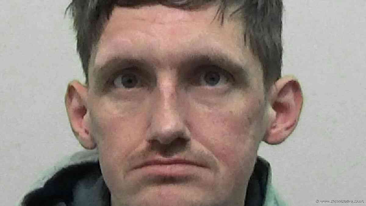 Northumberland pest who bombarded scared ex with calls after release from prison back behind bars